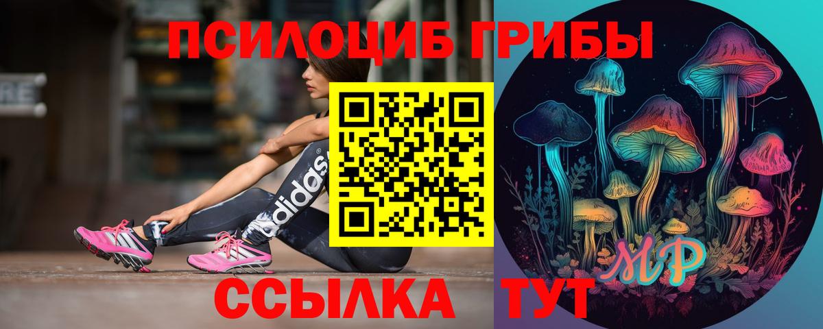 Галлюциногенные грибы Magic Shrooms  Вход с VPN  наркотики  Фрязино 