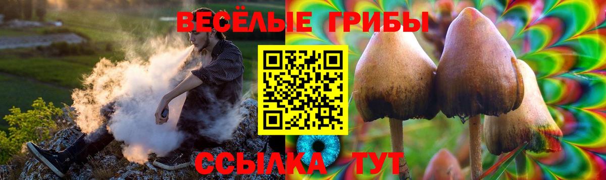Псилоцибиновые грибы Magic Shrooms Фрязино